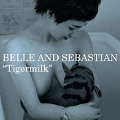 I Don't Love Anyone by Belle And Sebastian