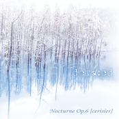 Nocturne Op.6 [cerisier]