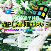 #PLANTWAVE