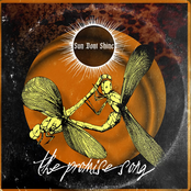 The Promise Song - Single