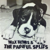 Our Sentence Is Up by Max Bemis & The Painful Splits