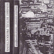 Blanche Noirceur - Rattus Norvegicus