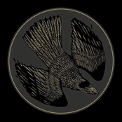 Our Love Is Different