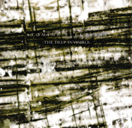The Deep Invisible cover