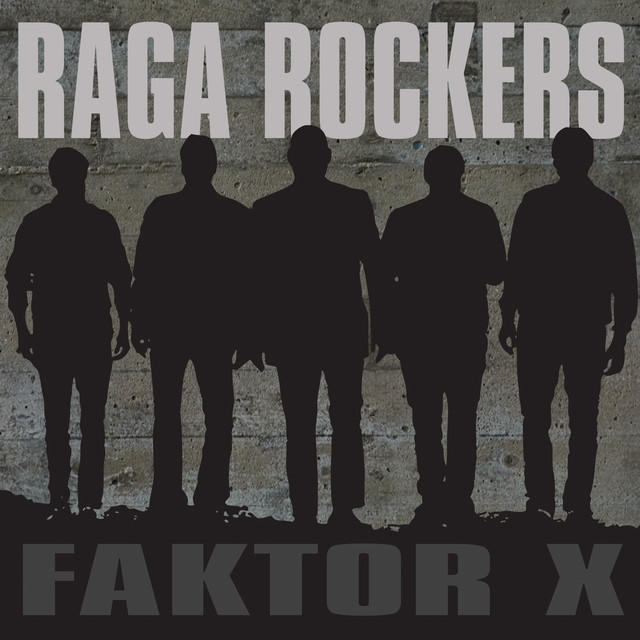 Faktor X cover