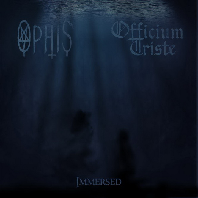 Immersed cover