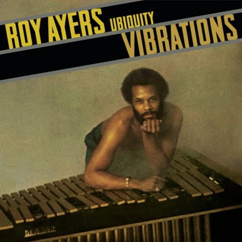 Vibrations cover