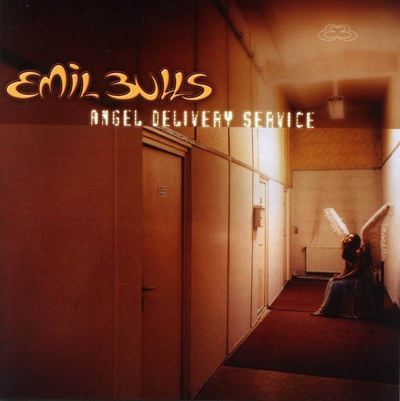 Angel Delivery Service cover