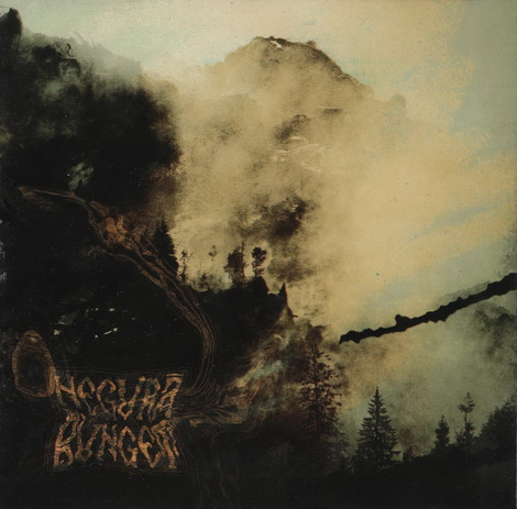 Sala Molksa / From Transilvanian Forest cover