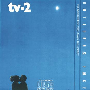 Lanternen cover