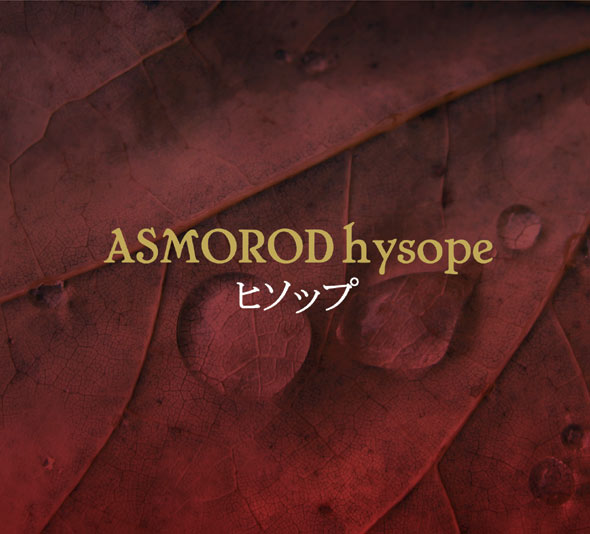 Hysope cover