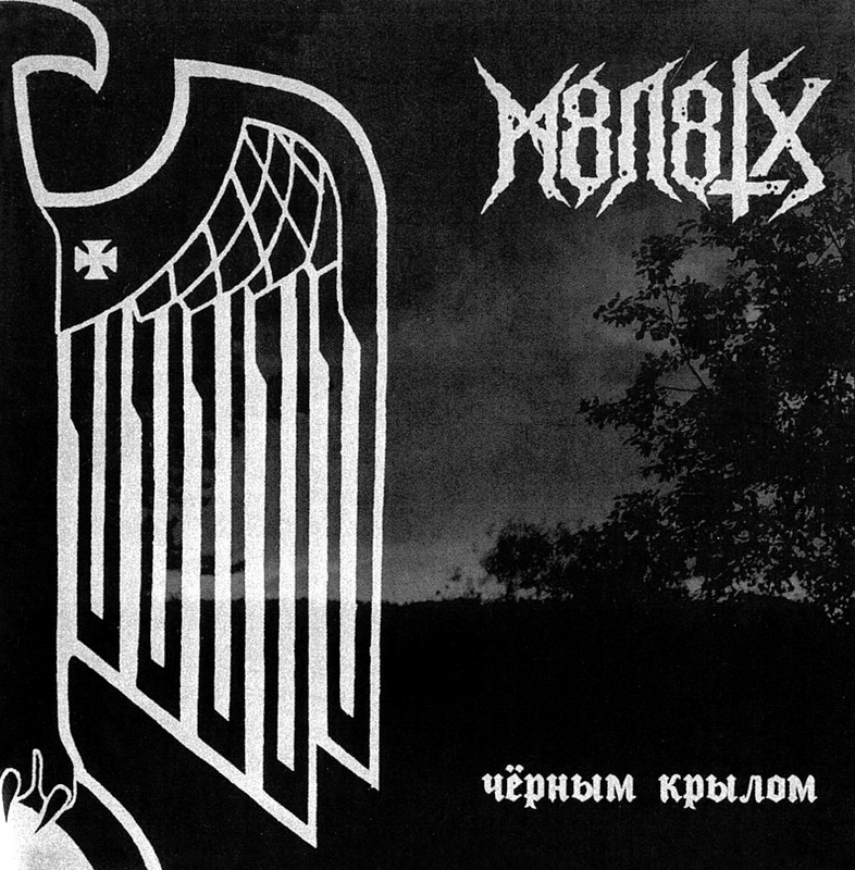 Чёрным крылом cover