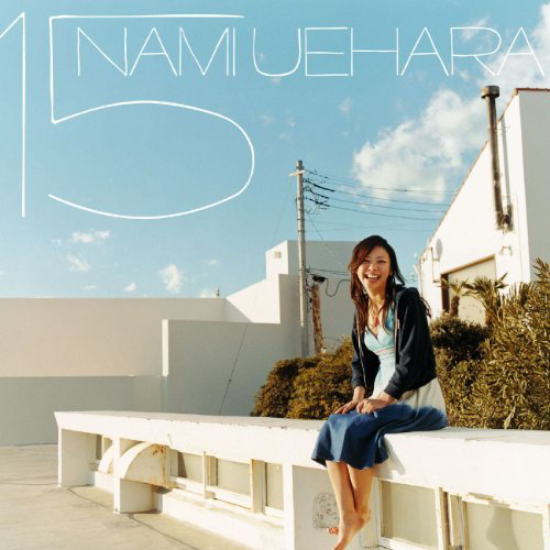 Intro cover