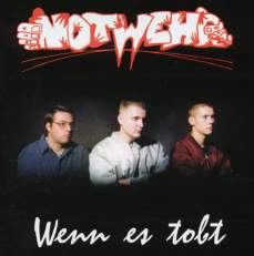Wenn es Tobt cover