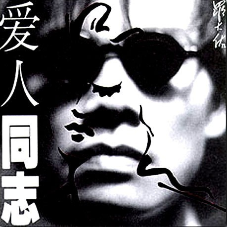愛人同志 cover