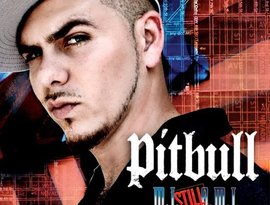PITBULL FT LIL JON & YING YANG TWINS 的头像
