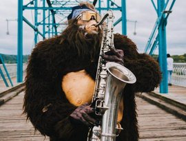 Avatar für Saxsquatch