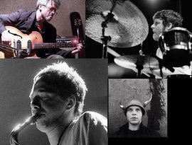 Zorn, Medeski, Ribot, Martin için avatar