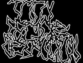 Avatar für Total Female Destruction