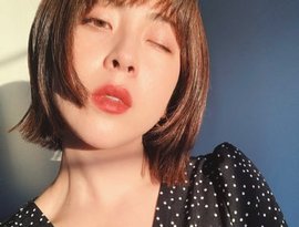 laco 的头像