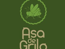 Asa de Grilo 的头像