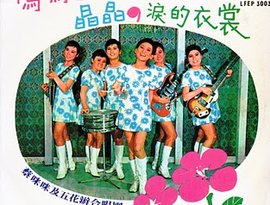 Avatar for Cai Mi Mi and The Five Petal Group