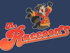 Avatar for The Raccoons