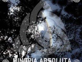 Minoria Absoluta のアバター