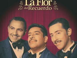 Avatar de La flor del recuerdo