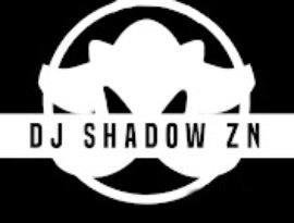 Avatar for DJ Shadow ZN 🎴