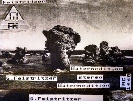 Gerfried Feistritzer 的头像