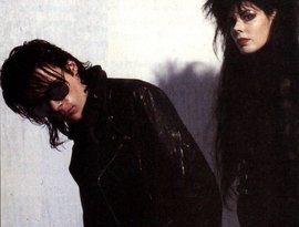 The Sisters of Mercy 的头像