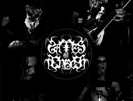 Avatar for Gates of Enoch
