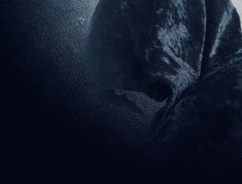 SECUNDA 的头像