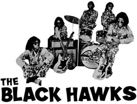 Avatar for The Black Hawks