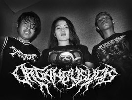 Avatar for Organ Busuck