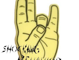 Shocking Behavior 的头像