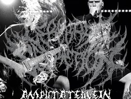 Avatar for Cerebral Secretion