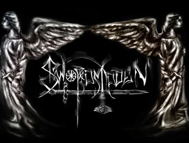 Swordsmaiden 的头像
