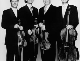 Avatar di Auryn Quartett