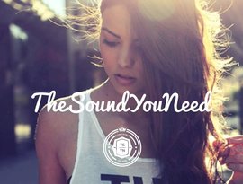 Awatar dla The Sound You Need