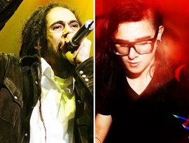 Avatar for Skrillex & Damian Marley