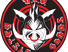 Avatar for A.N.D. Sound System