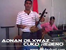 Awatar dla adnan dılxwaz