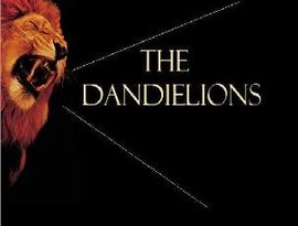 The Dandielions 的头像