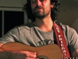 Andy Friedman & the Other Failures 的头像