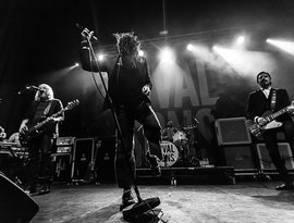 Avatar de Rival Sons