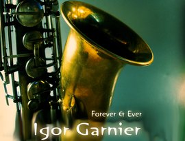 Avatar for Igor Garnier feat. Syntheticsax