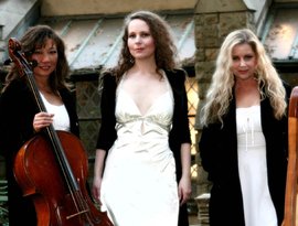 Angels Of Venice 的头像
