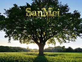 Avatar for The SanMei